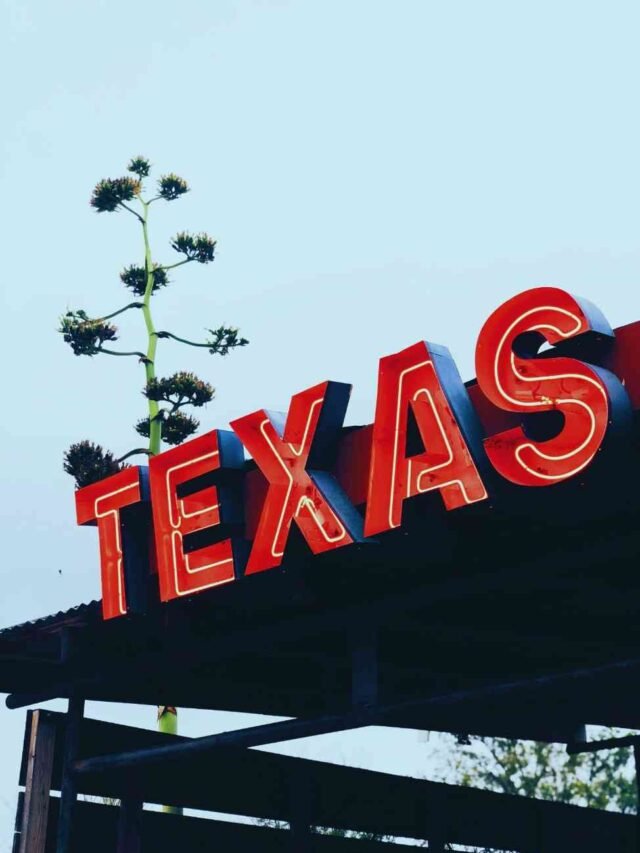 Photo by Capitalist Money on June 05, 2024. May be an image of A close-up view of a vibrant red neon "TEXAS" sign, illuminated against a pale blue sky. A tall green plant with spiky leaves stands prominently in the foreground, adding a touch of nature to the urban scene. The image may contain text such as 'TEXAS'.