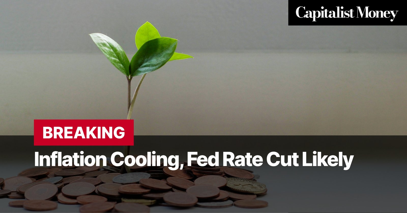 Photo by Capitalist Money on July 25, 2024. May be an image of A small plant growing out of a pile of coins suggesting economic growth despite inflation. The image may contain text such as 'Capitalist Money', 'BREAKING', 'Inflation Cooling, Fed Rate Cut Likely'.