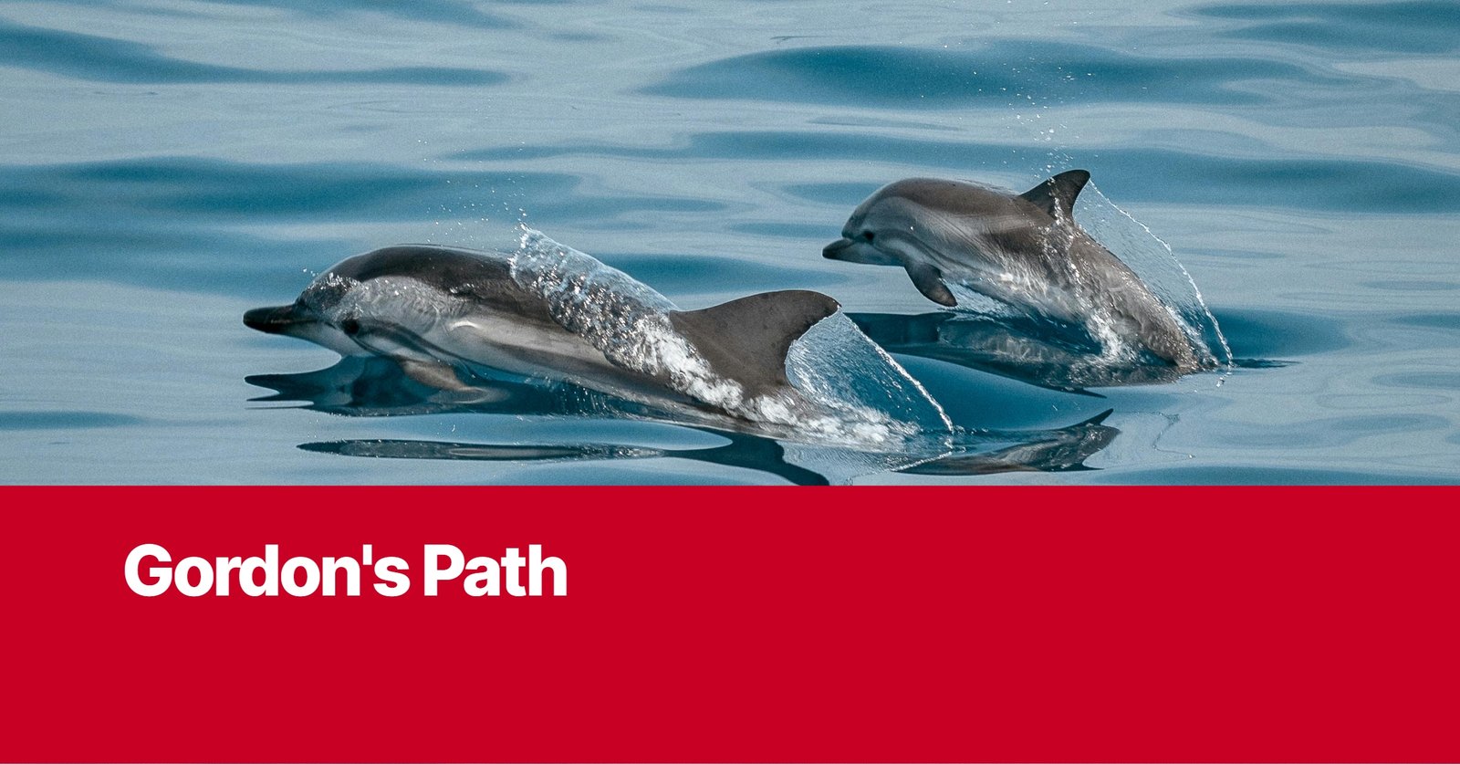 Photo by Capitalist Money on September 14, 2024. May be an image of Two dolphins jump out of the water and create splashes and ripples. The image may contain text such as 'Gordon's Path'.