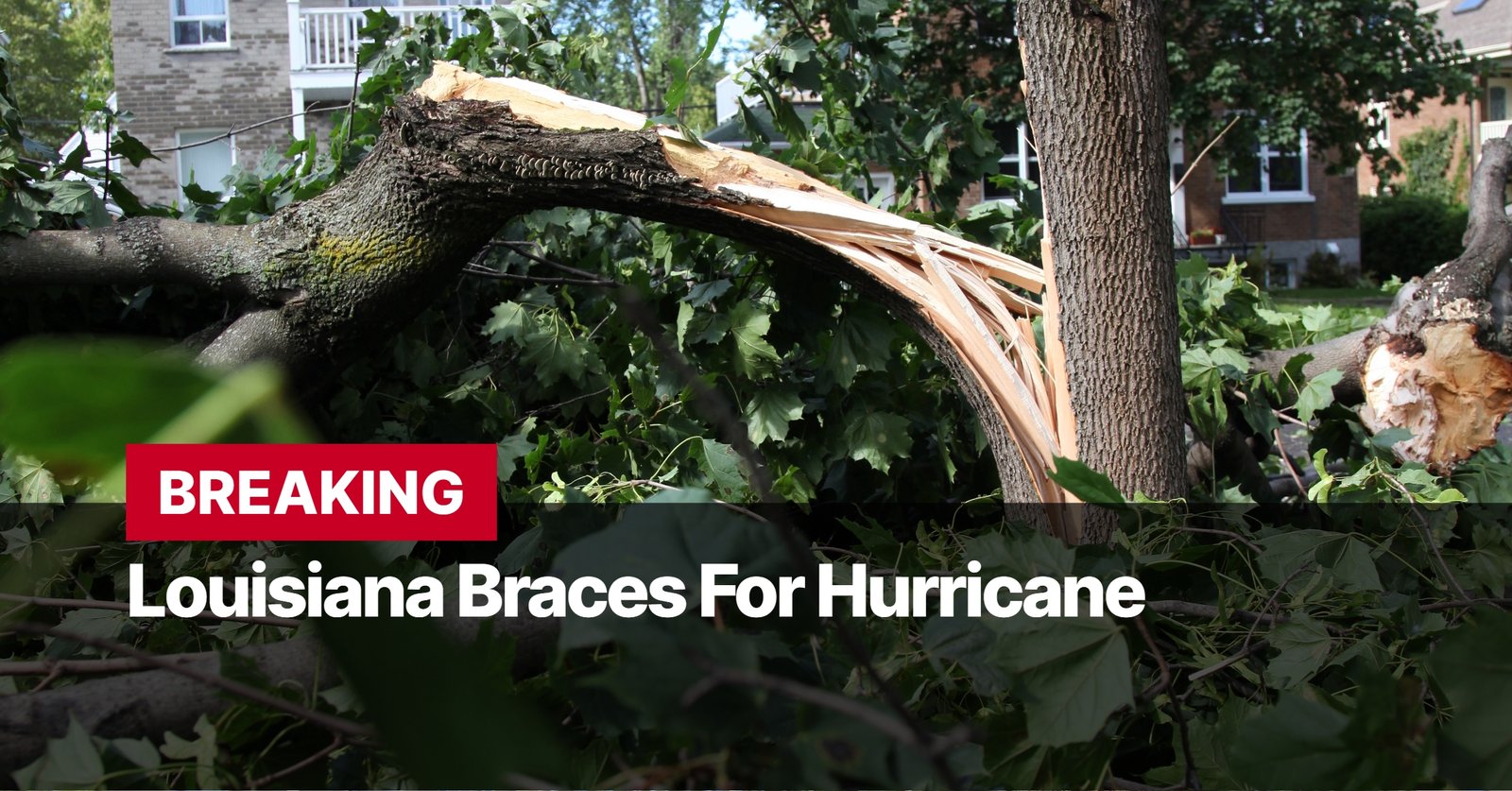 Photo by Capitalist Money on September 09, 2024. May be an image of A broken tree trunk in a yard, with a headline overlaid on the image that reads "BREAKING: Louisiana Braces for Hurricane." The image may contain text such as 'B', 'R', 'E', 'A', 'K', 'I', 'N', 'G', ' ', 'L', 'o', 'u', 'i', 's', 'i', 'a', 'n', 'a', ' ', 'B', 'r', 'a', 'c', 'e', 's', ' ', 'F', 'o', 'r', ' ', 'H', 'u', 'r', 'r', 'i', 'c', 'a', 'n', 'e'.