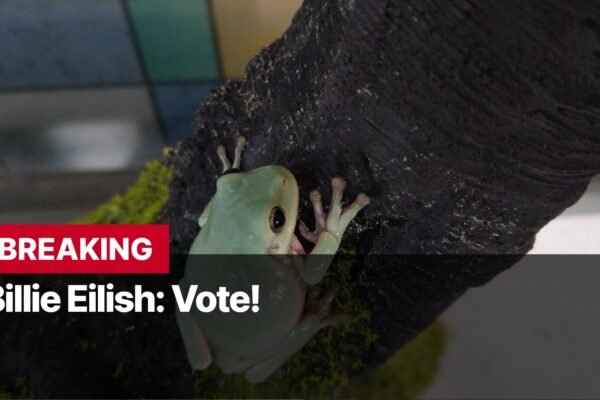 Photo by Capitalist Money on September 18, 2024. May be an image of A white tree frog perched on a branch, with the words "BREAKING Billie Eilish: Vote!" in the foreground. The image may contain text such as 'BREAKING', 'Billie Eilish: Vote!'.