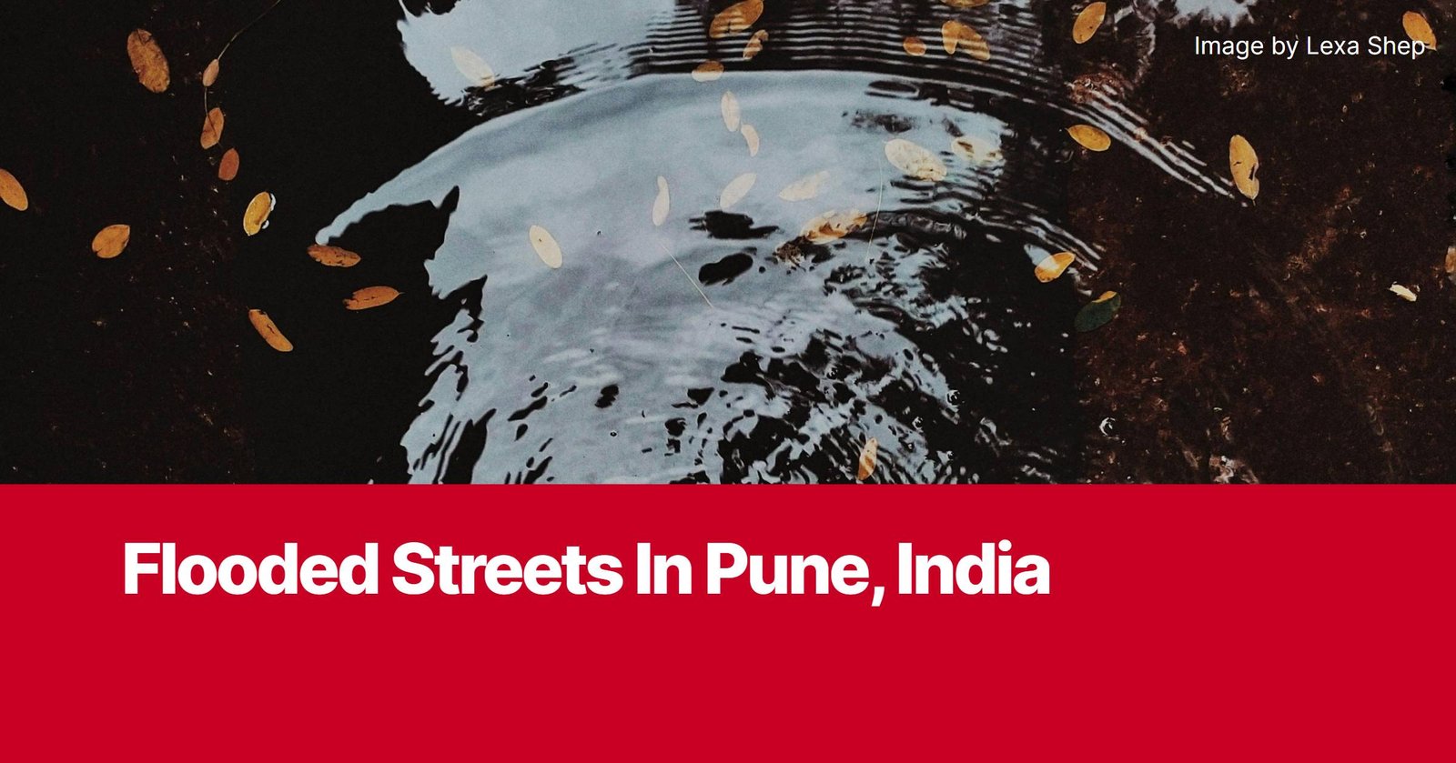 Photo by Capitalist Money on November 13, 2024. May be an image of A close-up shot of a flooded street in Pune, India, with leaves floating on the water. The image may contain text such as 'Flooded Streets In Pune, India', 'Image by Lexa Shep'.