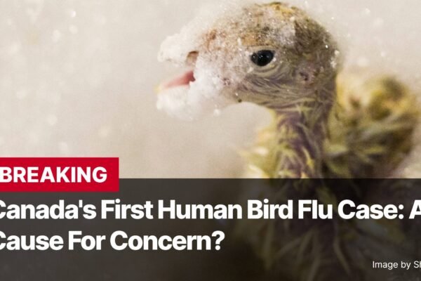 Photo by Capitalist Money on November 11, 2024. May be an image of A close-up image of a small bird covered in soapy water and bubbles, with the text "BREAKING: Canada's First Human Bird Flu Case: A Cause For Concern?" superimposed over the image. The image may contain text such as 'B', 'R', 'E', 'A', 'K', 'I', 'N', 'G', ' ', 'C', 'a', 'n', 'a', 'd', 'a', ''', 's', ' ', 'F', 'i', 'r', 's', 't', ' ', 'H', 'u', 'm', 'a', 'n', ' ', 'B', 'i', 'r', 'd', ' ', 'F', 'l', 'u', ' ', 'C', 'a', 's', 'e', ':', ' ', 'A', ' ', 'C', 'a', 'u', 's', 'e', ' ', 'F', 'o', 'r', ' ', 'C', 'o', 'n', 'c', 'e', 'r', 'n', '?', ' ', 'I', 'm', 'a', 'g', 'e', ' ', 'b', 'y', ' ', 'S', 'h', 'p', 'e', 'r', 'n', 'i', 'k', '0', '8', '8'.