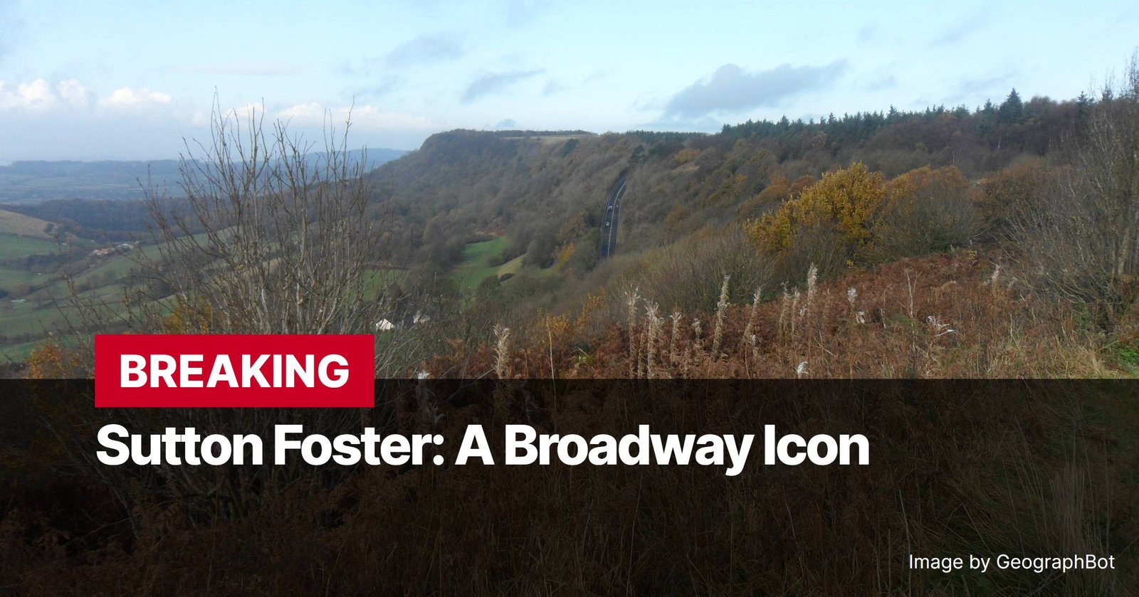 Photo by Capitalist Money on November 13, 2024. May be an image of A photo of a road winding through a wooded area in Sutton Foster. The image may contain text such as 'BREAKING', 'Sutton Foster: A Broadway Icon', 'Image by GeographBot'.